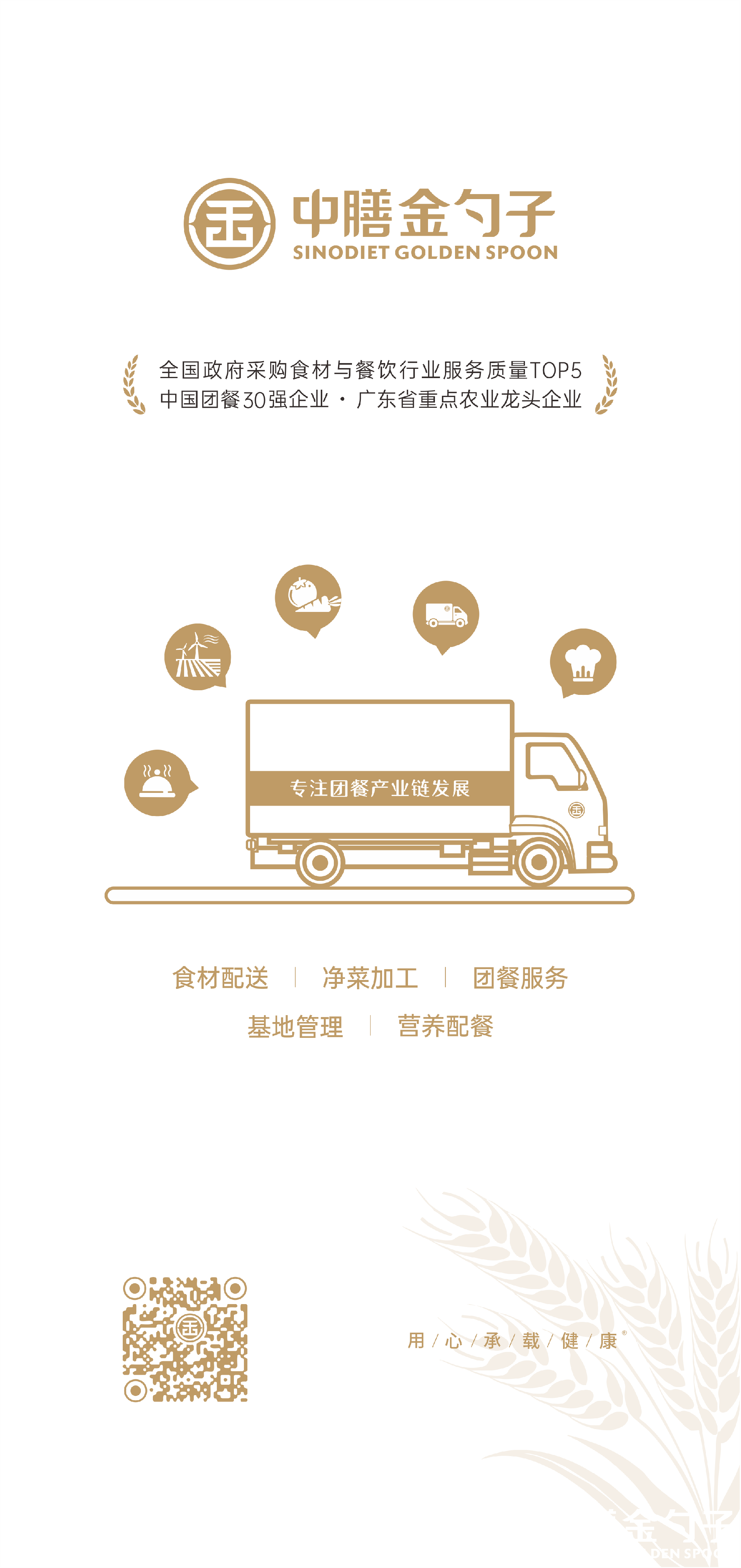 乐盈VI集团.png